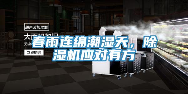 春雨連綿潮濕天，除濕機應對有方