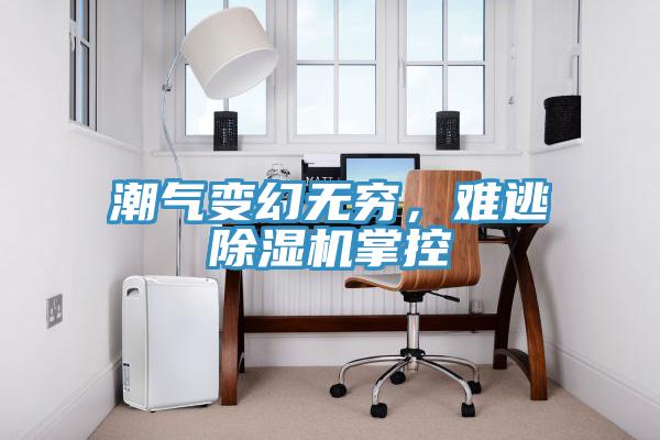 潮氣變幻無窮，難逃除濕機掌控