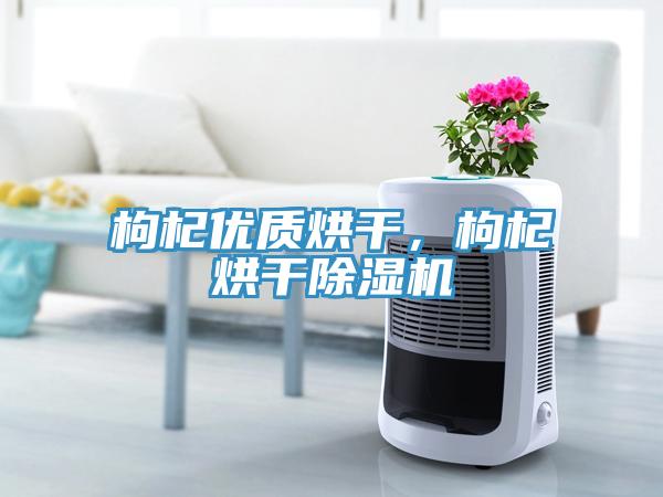枸杞優(yōu)質(zhì)烘干，枸杞烘干除濕機