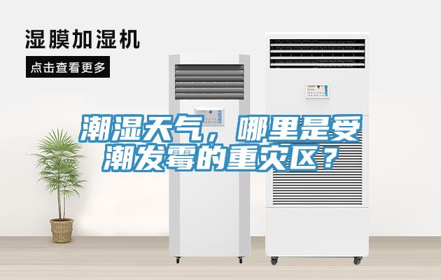 潮濕天氣，哪里是受潮發霉的重災區？
