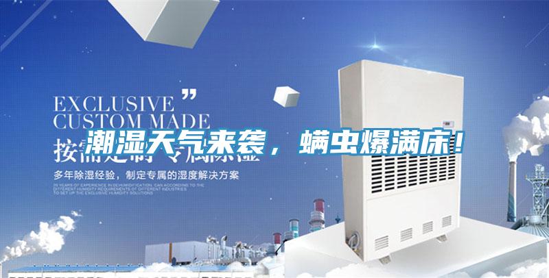 潮濕天氣來襲，螨蟲爆滿床！
