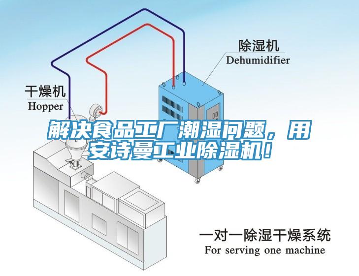 解決食品工廠潮濕問題，用安詩曼工業除濕機！