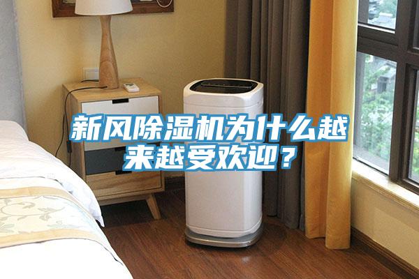 新風除濕機為什么越來越受歡迎？