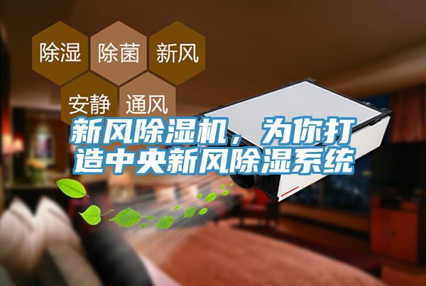 新風除濕機，為你打造中央新風除濕系統(tǒng)