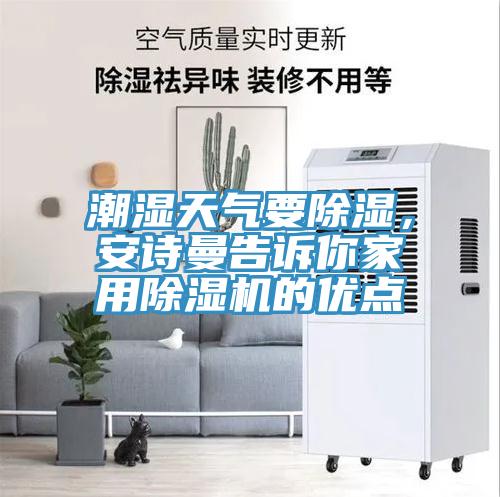 潮濕天氣要除濕，安詩曼告訴你家用除濕機的優點