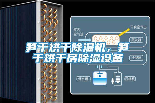 筍干烘干除濕機(jī)，筍干烘干房除濕設(shè)備