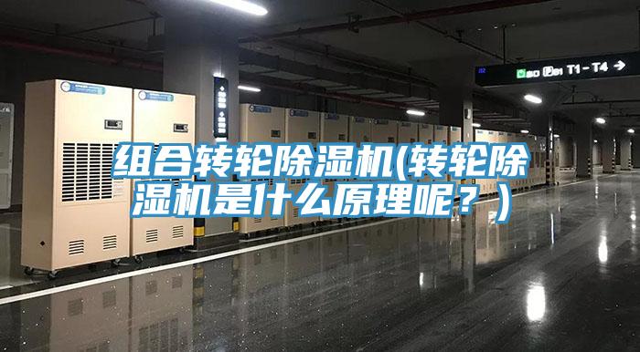 組合轉輪除濕機(轉輪除濕機是什么原理呢？)