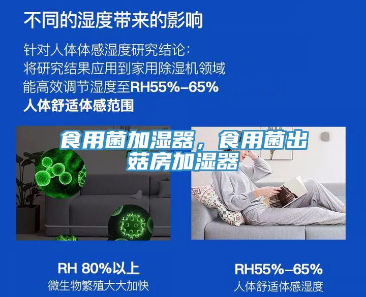 食用菌加濕器，食用菌出菇房加濕器