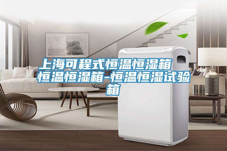 上?？沙淌胶銣睾銤裣? 恒溫恒濕箱-恒溫恒濕試驗箱
