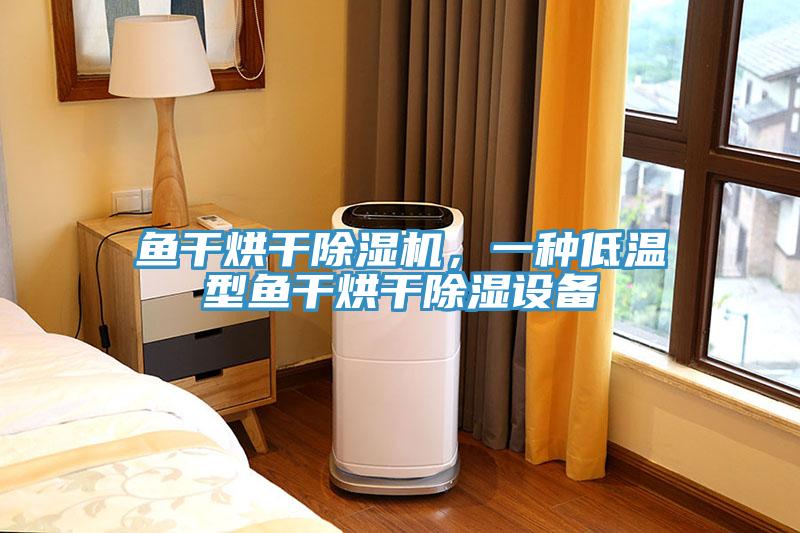 魚(yú)干烘干除濕機(jī)，一種低溫型魚(yú)干烘干除濕設(shè)備