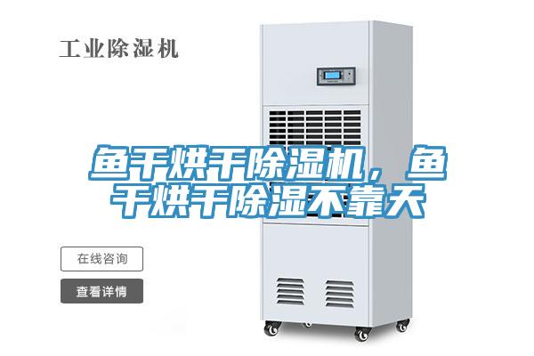 魚(yú)干烘干除濕機(jī)，魚(yú)干烘干除濕不靠天