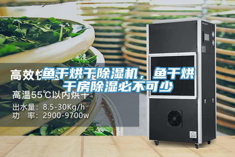 魚(yú)干烘干除濕機(jī)，魚(yú)干烘干房除濕必不可少