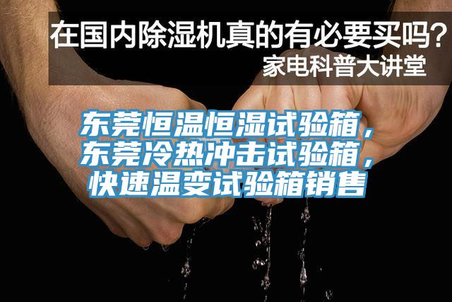 東莞恒溫恒濕試驗箱，東莞冷熱沖擊試驗箱，快速溫變試驗箱銷售