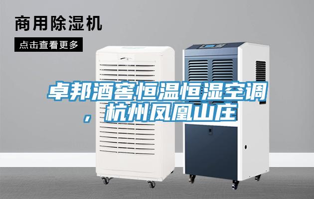 卓邦酒窖恒溫恒濕空調，杭州鳳凰山莊