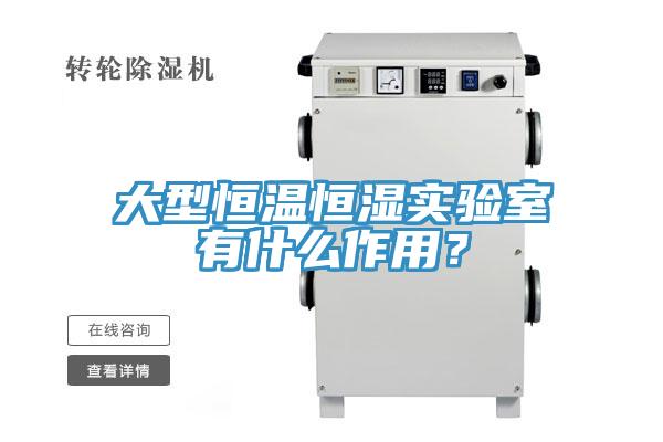 大型恒溫恒濕實(shí)驗(yàn)室有什么作用？
