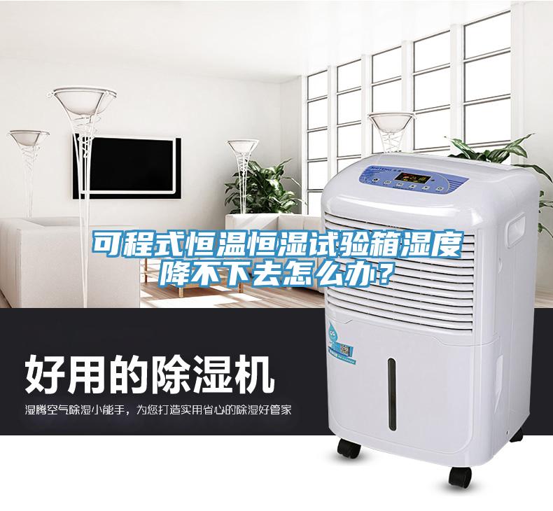 可程式恒溫恒濕試驗(yàn)箱濕度降不下去怎么辦？