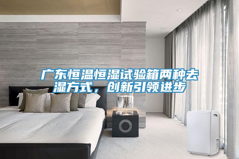廣東恒溫恒濕試驗箱兩種去濕方式，創(chuàng)新引領(lǐng)進步