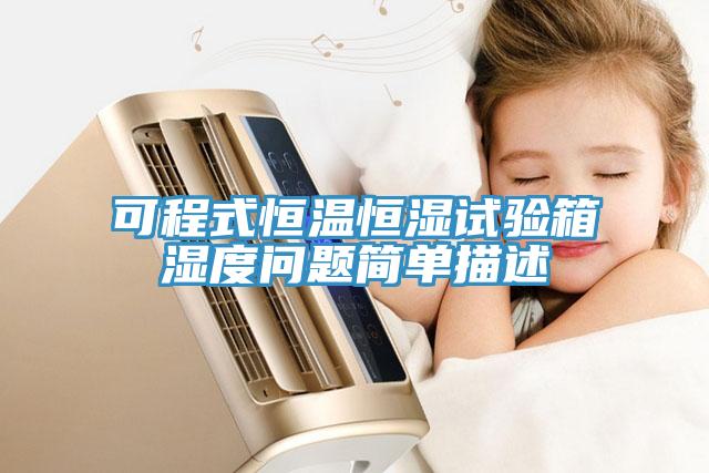 可程式恒溫恒濕試驗(yàn)箱濕度問題簡(jiǎn)單描述