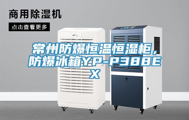 常州防爆恒溫恒濕柜，防爆冰箱YP-P388EX