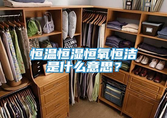 恒溫恒濕恒氧恒潔是什么意思？