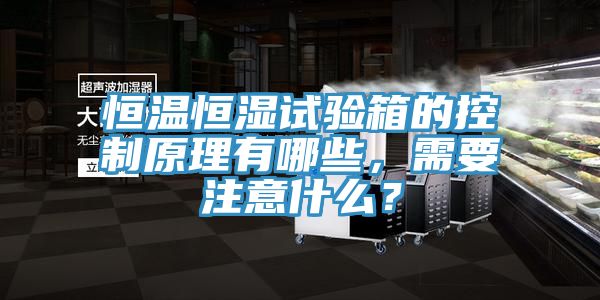 恒溫恒濕試驗箱的控制原理有哪些，需要注意什么？