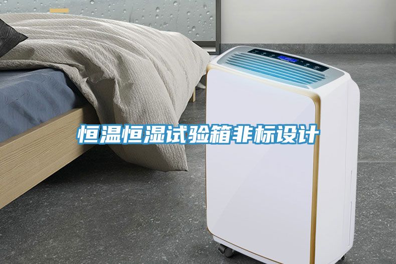 恒溫恒濕試驗(yàn)箱非標(biāo)設(shè)計