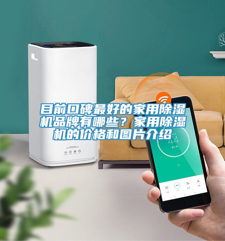 目前口碑最好的家用除濕機品牌有哪些？家用除濕機的價格和圖片介紹