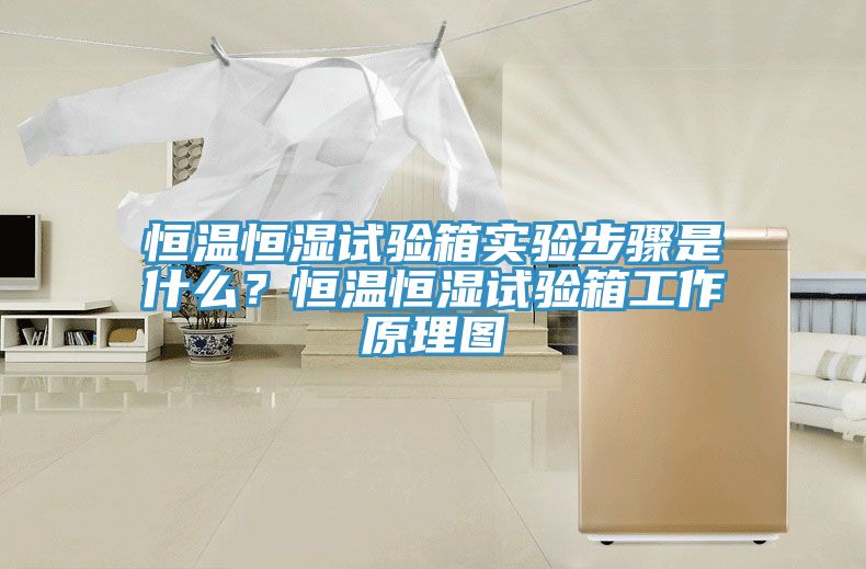 恒溫恒濕試驗(yàn)箱實(shí)驗(yàn)步驟是什么？恒溫恒濕試驗(yàn)箱工作原理圖