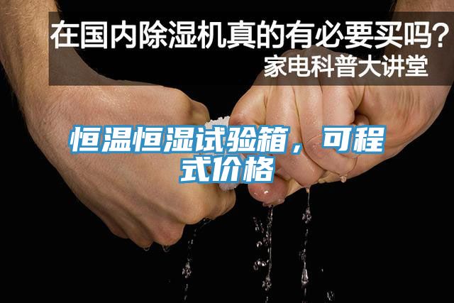 恒溫恒濕試驗(yàn)箱，可程式價格