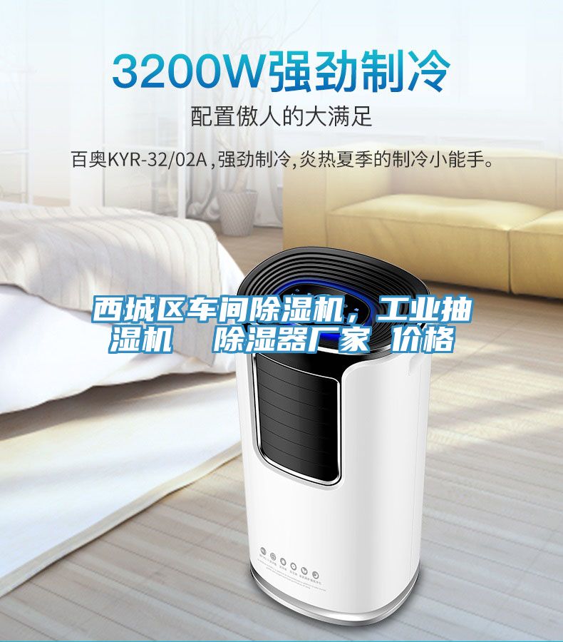 西城區(qū)車間除濕機，工業(yè)抽濕機  除濕器廠家 價格