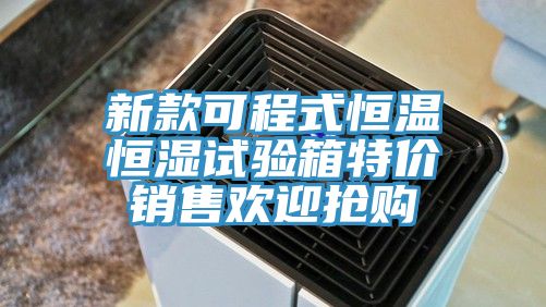 新款可程式恒溫恒濕試驗(yàn)箱特價(jià)銷(xiāo)售歡迎搶購(gòu)