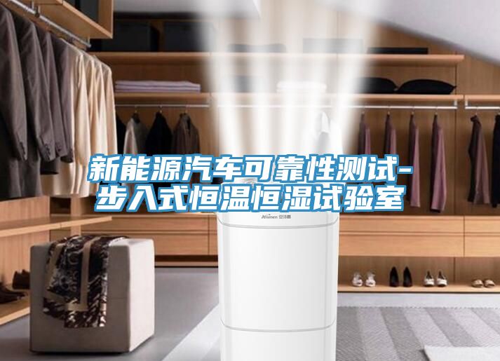 新能源汽車(chē)可靠性測(cè)試-步入式恒溫恒濕試驗(yàn)室