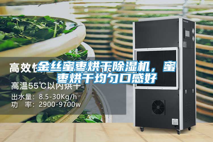 金絲蜜棗烘干除濕機，蜜棗烘干均勻口感好