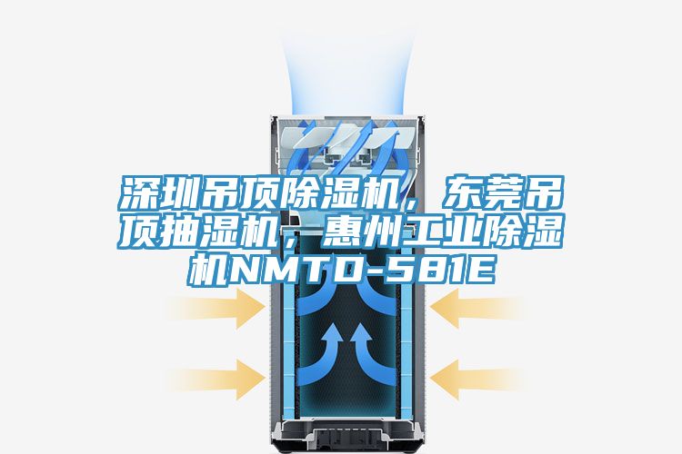 深圳吊頂除濕機，東莞吊頂抽濕機，惠州工業除濕機NMTD-581E