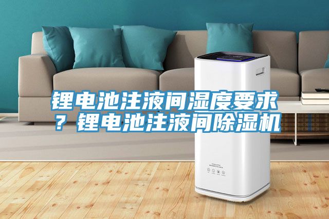 鋰電池注液間濕度要求？鋰電池注液間除濕機(jī)