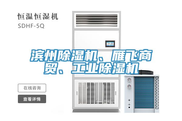 濱州除濕機、雁飛商貿、工業除濕機